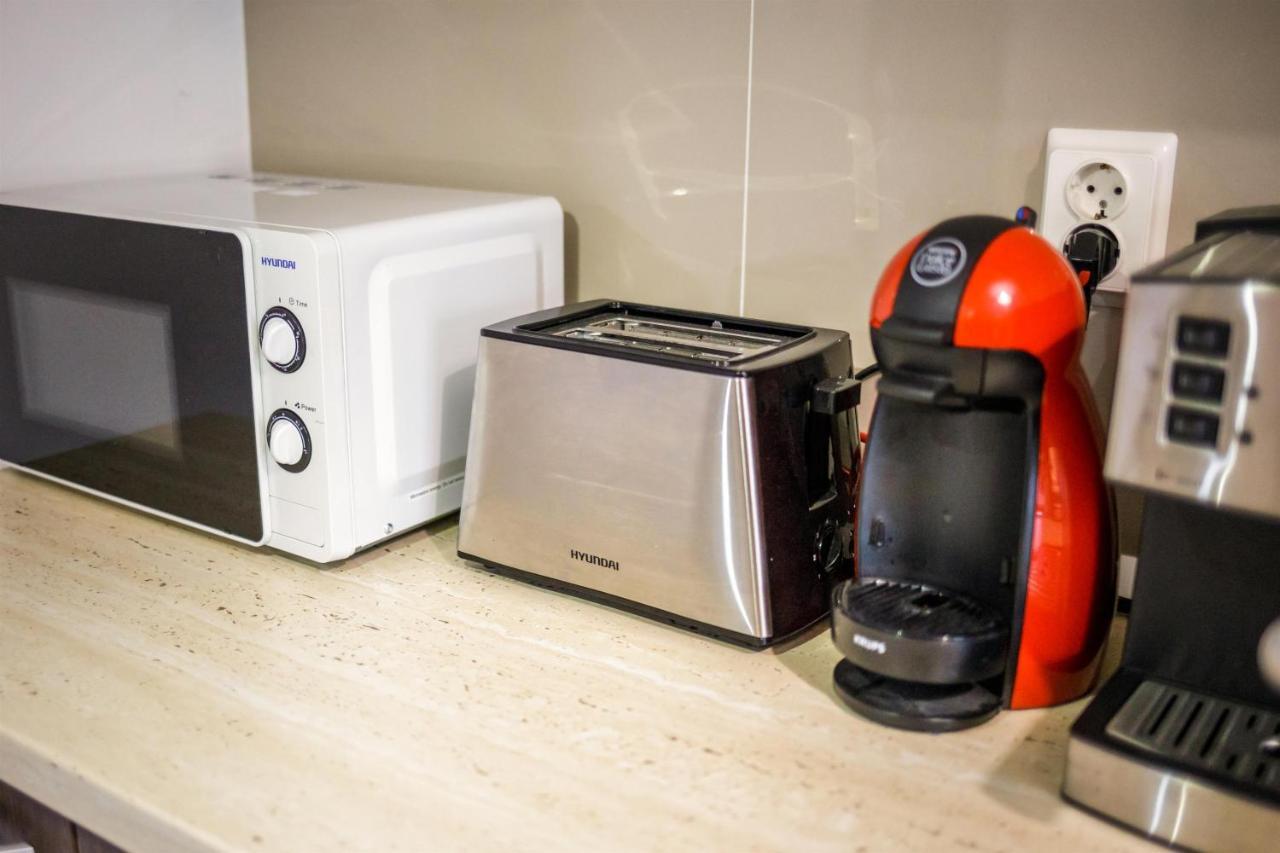 Apartament Business Langa Vivo Mall Apartment Baia Mare Ngoại thất bức ảnh
